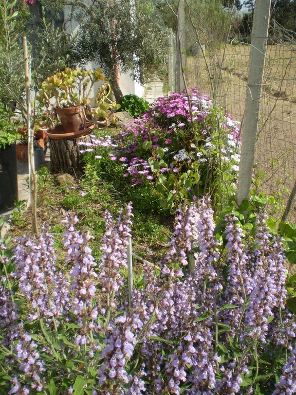 Il Giardino Di Emilio Bed and Breakfast Marrùbiu Camera foto